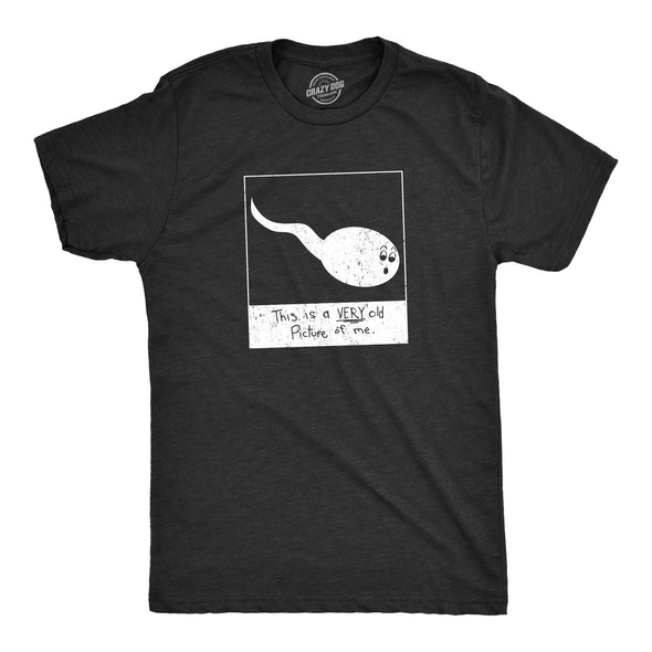 Mens This Is A Very Old Picture Of Me Tshirt Funny Sarcastic Sperm Graphic Tee