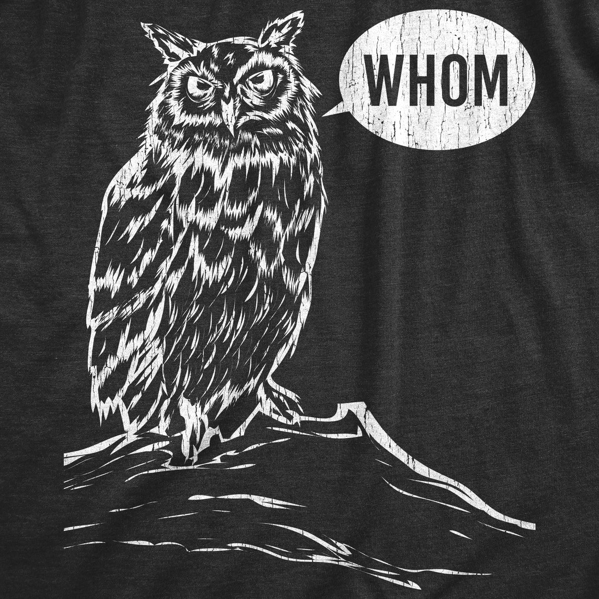 Mens Whom Owl Tshirt Funny Grammar Nerd Sarcastic Graphic Novelty Tee