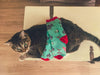 Women's Cat Butt Mistletoe Socks Funny Christmas Kitty Pet Lover Sarcastic Footwear