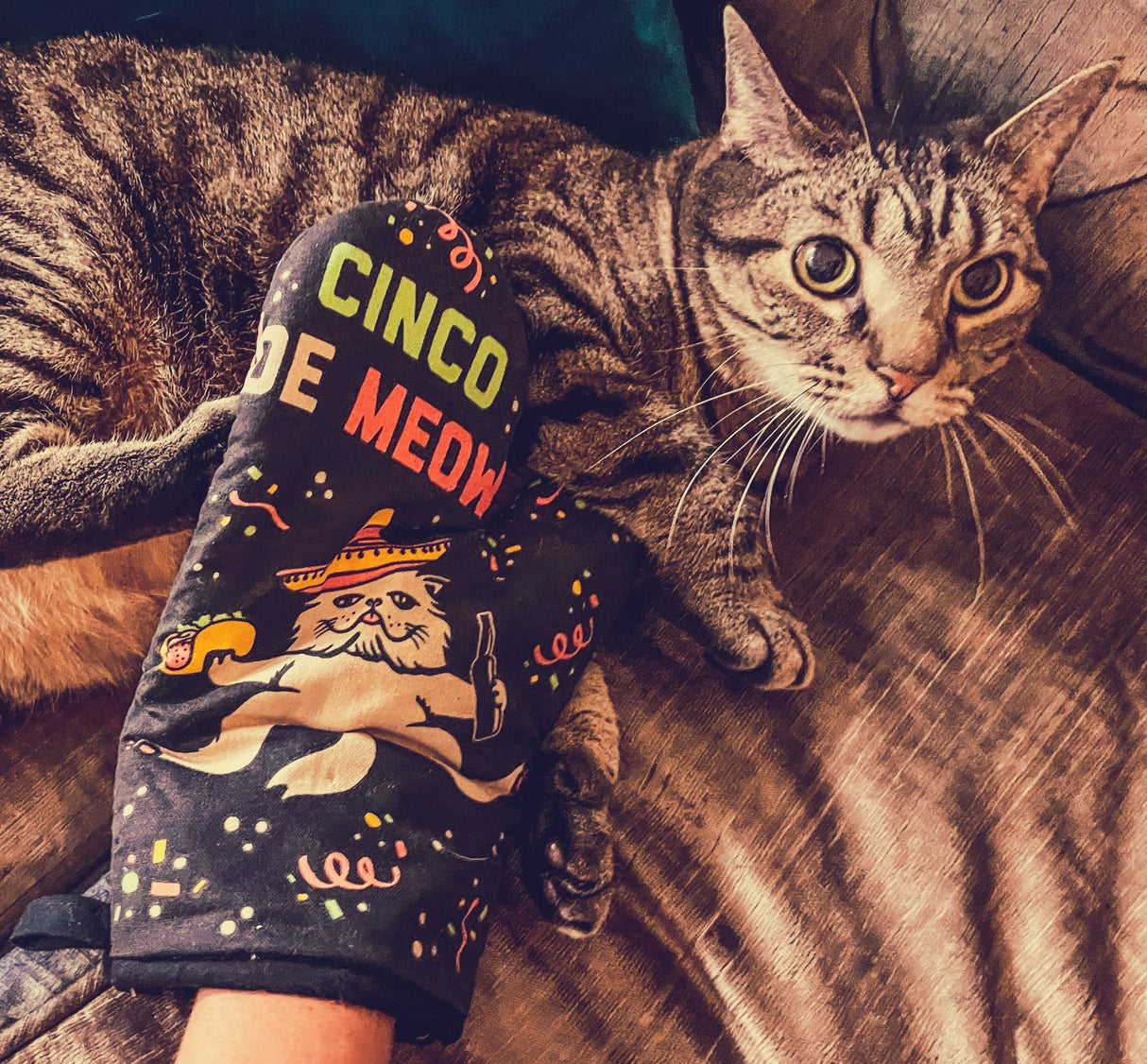 Cinco De Meow Oven Mitt Funny Taco Cat Mexican Cerveza Kitchen Glove