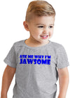 Toddler Ask Me Why Im Jawsome Jaws Shark Flip Up T shirt for Kids