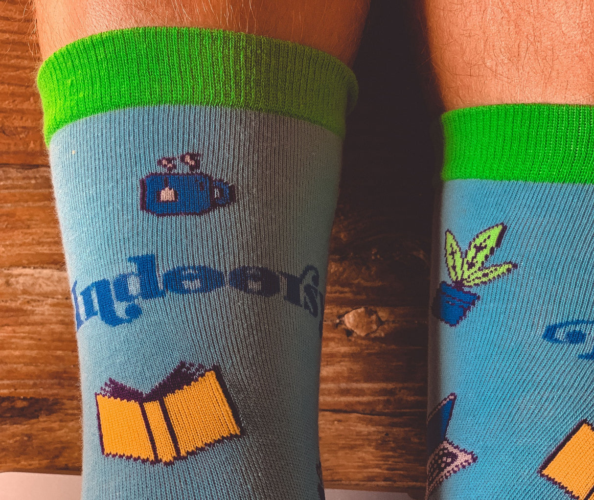 Women's Indoorsy Socks Funny Homebody Cozy Graphic Novelty Footwear
