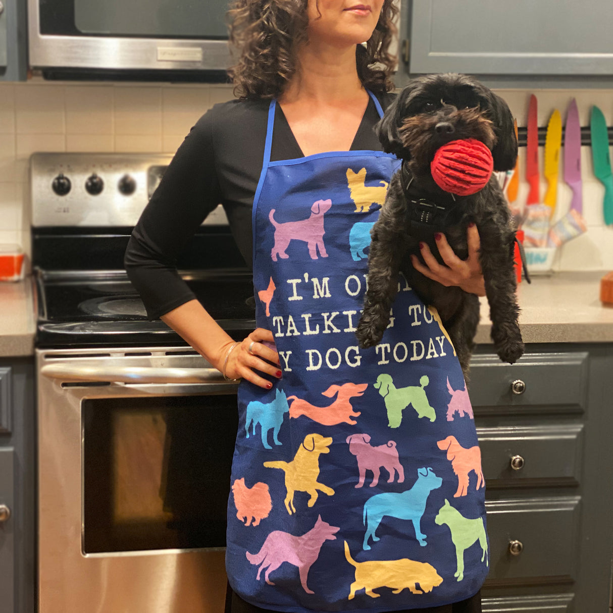 I'm Only Talking To My Dog Today Apron
