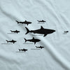 Women's Shark Hierarchy Chart T Shirt Funny Science Ocean Tee For Guys