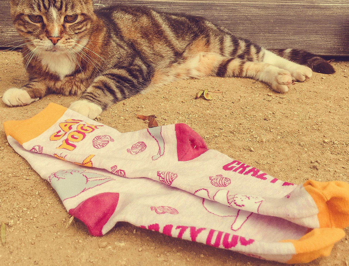 Women's Cat Yoga Socks Funny Stretch Exercise Workout Pet Kitty Lover Graphic Footwear
