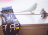 Youth How To Pick Up Chicks Socks Funny Easter Gift Footwear