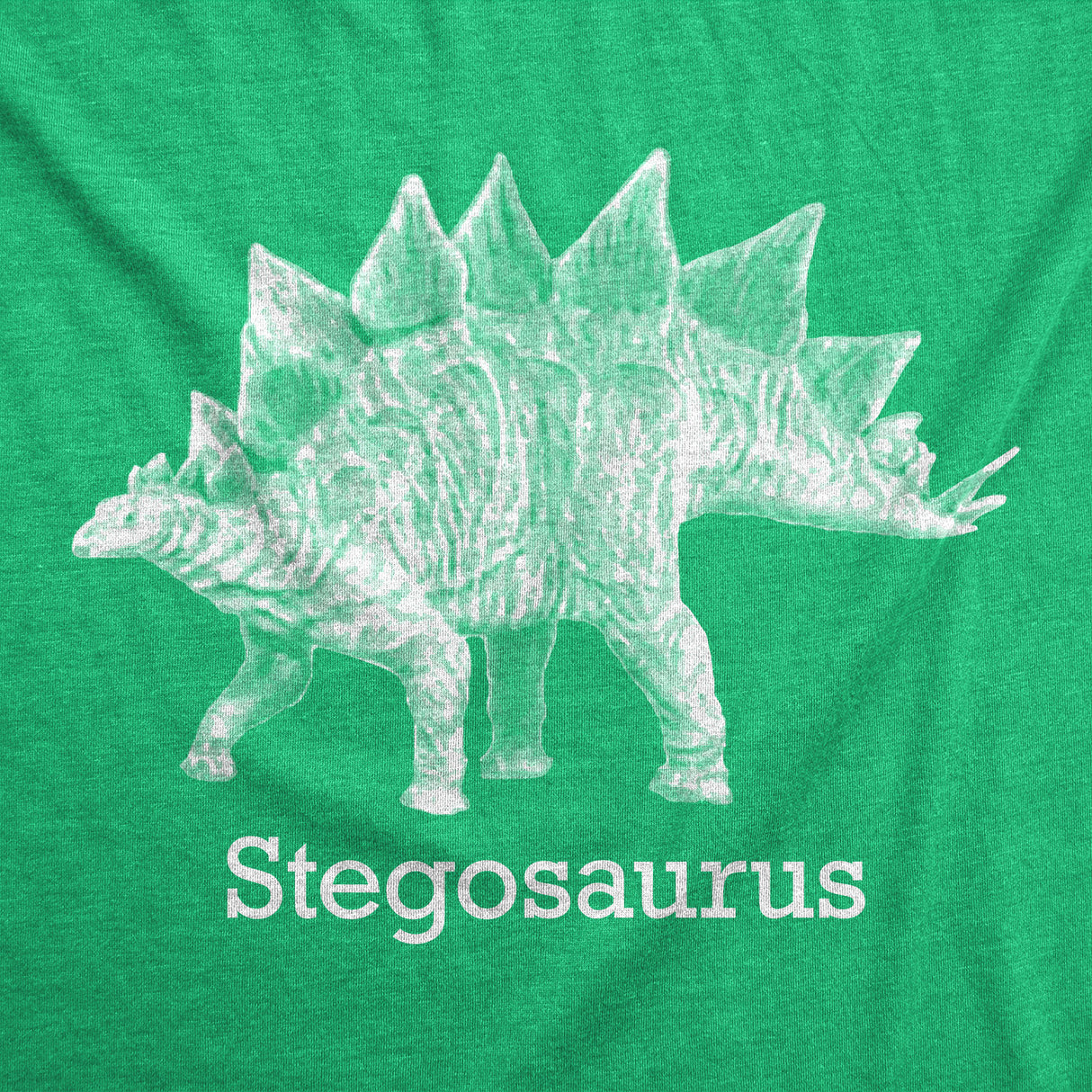 Stegosaurus Men's Tshirt